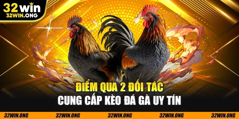 Điểm qua 2 đối tác cung cấp kèo đá gà uy tín
