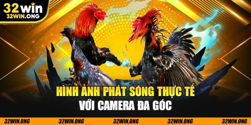 Hình ảnh phát sóng thực tế với camera đa góc