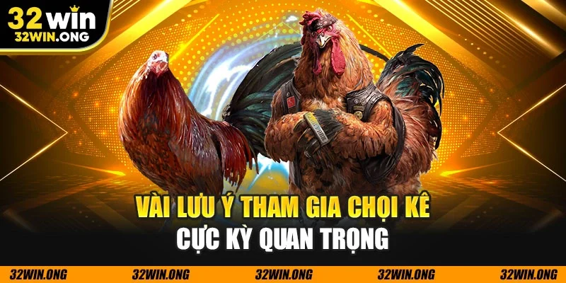Vài lưu ý tham gia chọi kê cực kỳ quan trọng