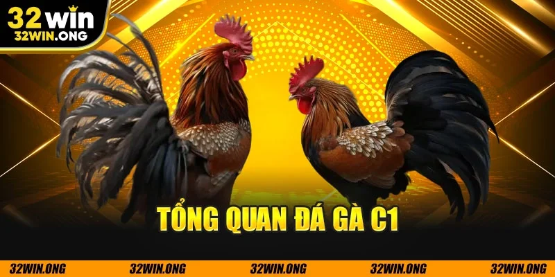 Tổng quan đá gà c1