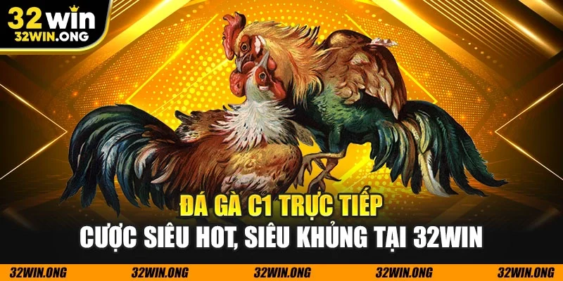 Đá gà c1