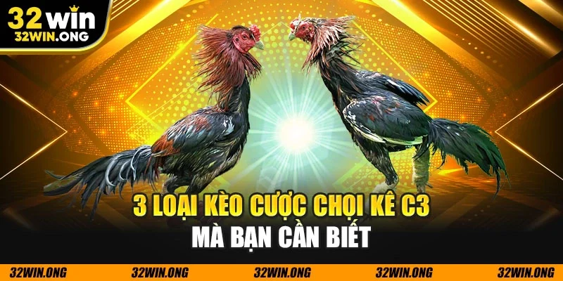 3 loại kèo cược chọi kê c3 mà bạn cần biết