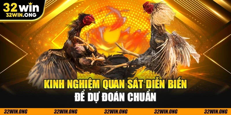 Kinh nghiệm quan sát diễn biến để dự đoán chuẩn