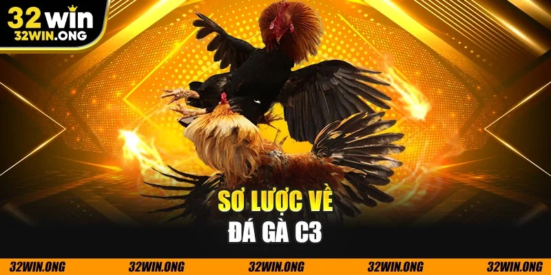 Sơ lược về đá gà c3