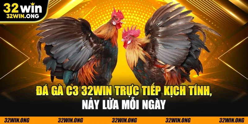 Đá gà c3
