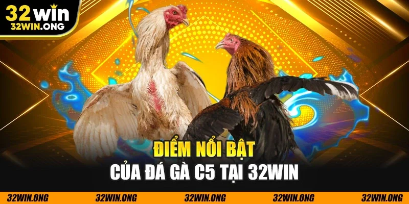 Điểm nổi bật của đá gà c5 tại 32WIN
