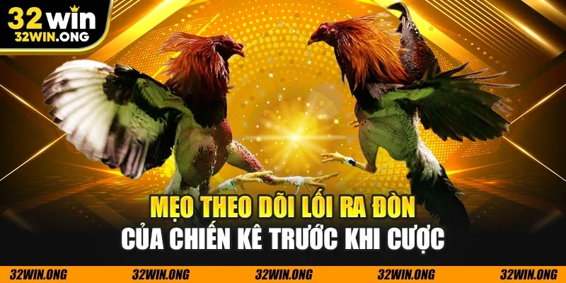 Mẹo theo dõi lối ra đòn của chiến kê trước khi cược