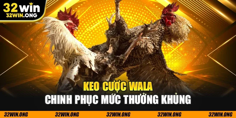 Keo cược Wala chinh phục mức thưởng khủng