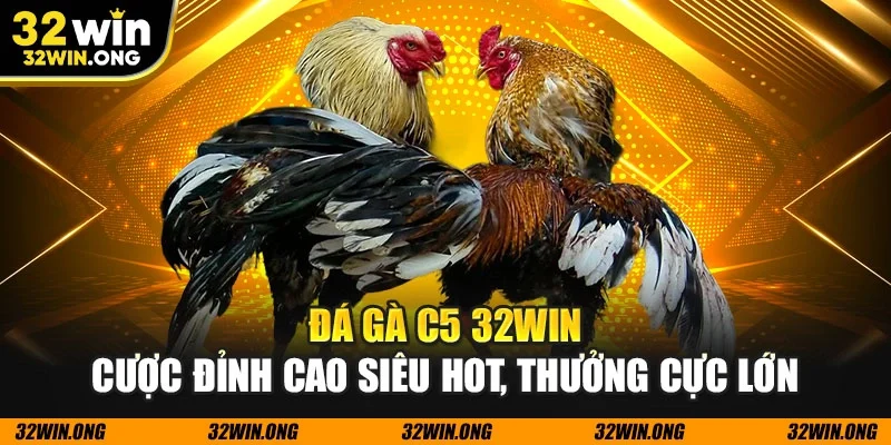 Đá gà c5